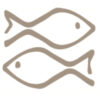 fishes